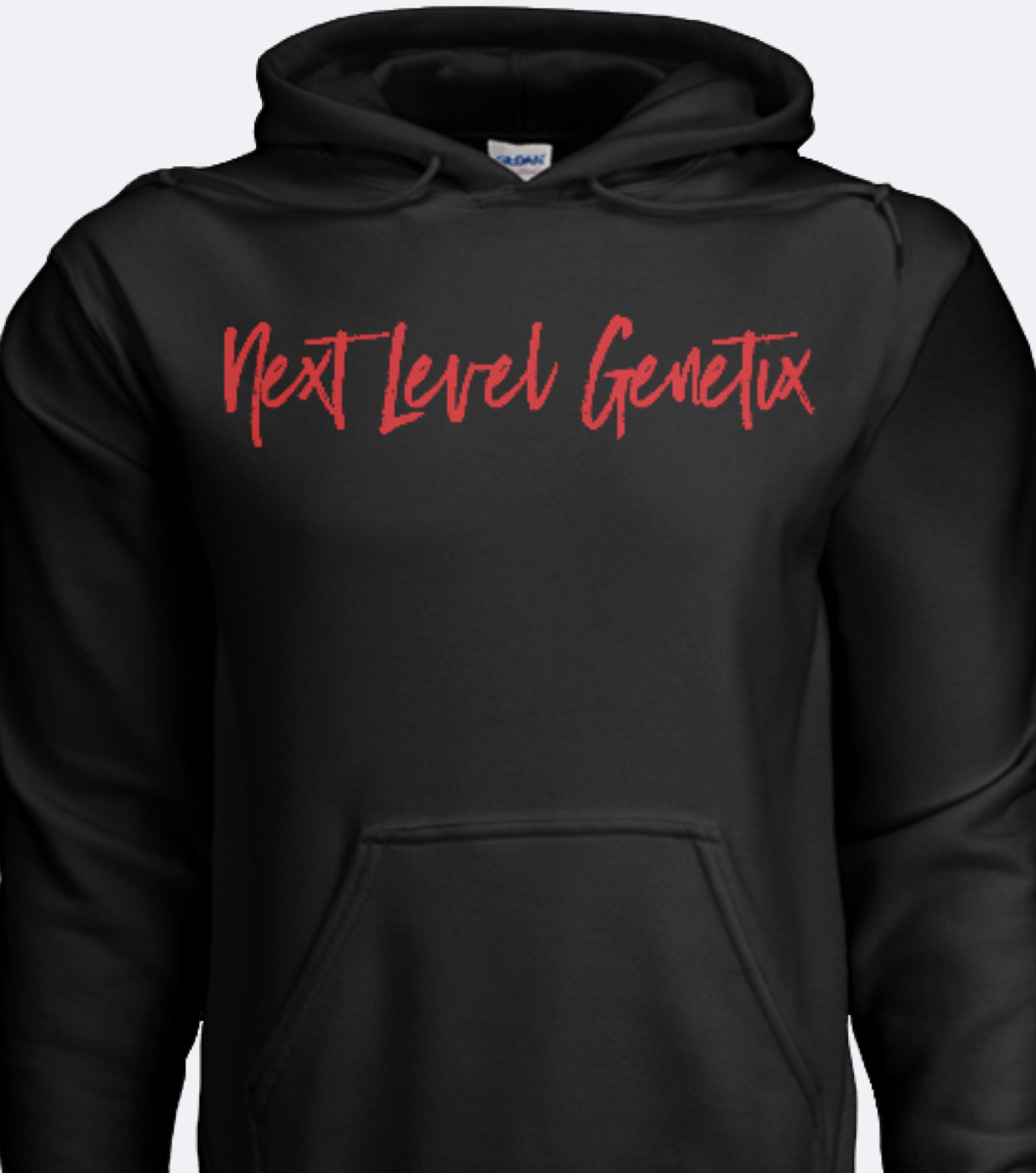 Nxt 2024 level hoodie